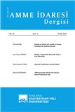 点击查看Amme Idaresi Dergisi