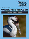 点击查看<b>Journal Of Wildlife Diseases</b>