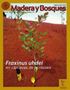 点击查看Madera Y Bosques
