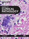 点击查看Journal Of Clinical Pathology