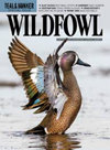 点击查看Wildfowl