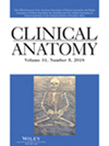 点击查看Clinical Anatomy