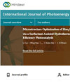 点击查看International Journal Of Photoenergy