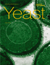 点击查看<b>Yeast</b>
