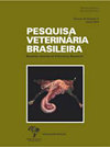 点击查看Pesquisa Veterinaria Brasileira