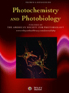 点击查看Photochemistry And Photobiology