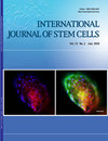 点击查看International Journal Of Stem Cells
