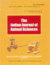 点击查看Indian Journal Of Animal Sciences