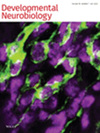 点击查看<b>Developmental Neurobiology</b>