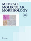 点击查看Medical Molecular Morphology