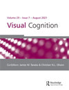 点击查看Visual Cognition