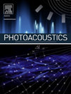 点击查看Photoacoustics