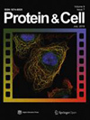 点击查看<b>Protein & Cell</b>