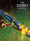 点击查看Embo Journal