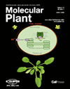 点击查看Molecular Plant