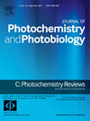 点击查看Journal Of Photochemistry And Photobiology C-photochemistry